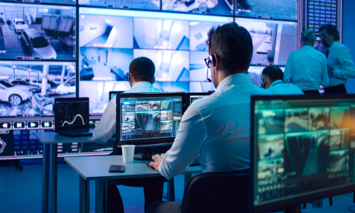 Person working in protective security