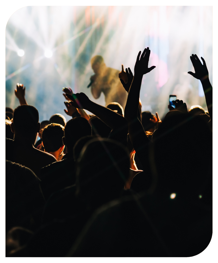 Crowd at a concert